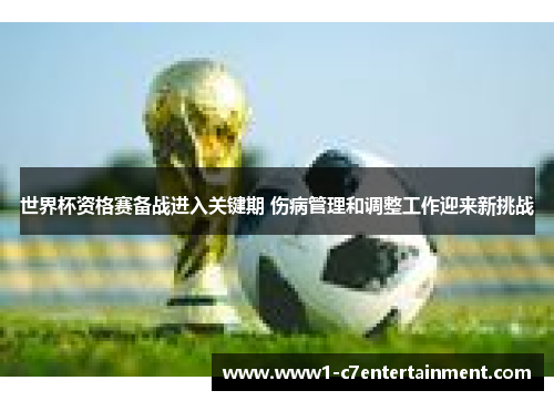 世界杯资格赛备战进入关键期 伤病管理和调整工作迎来新挑战 世界杯资格赛备战进入关键期 伤病管理和调整工作迎来新挑战