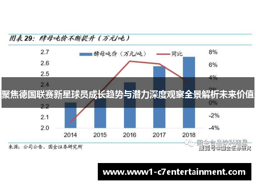 聚焦德国联赛新星球员成长趋势与潜力深度观察全景解析未来价值